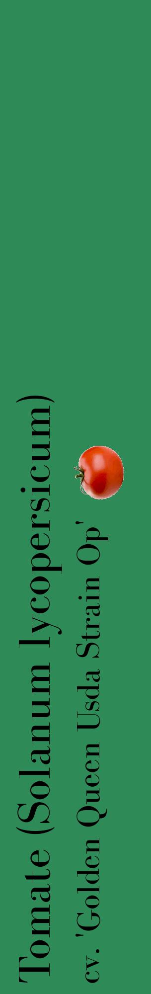 Étiquette de : Solanum lycopersicum cv. 'Golden Queen Usda Strain Op' - format c - style noire11_basiquebod avec comestibilité simplifiée