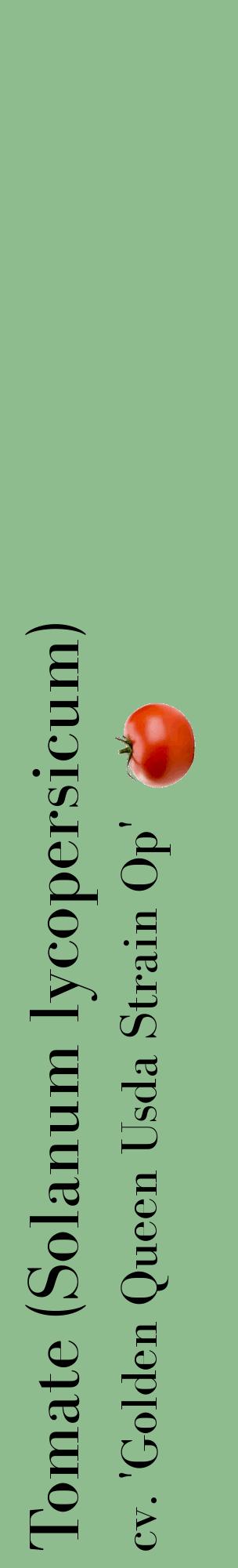 Étiquette de : Solanum lycopersicum cv. 'Golden Queen Usda Strain Op' - format c - style noire13_basiquebod avec comestibilité simplifiée