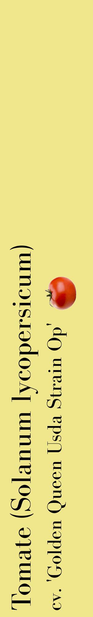 Étiquette de : Solanum lycopersicum cv. 'Golden Queen Usda Strain Op' - format c - style noire20_basiquebod avec comestibilité simplifiée