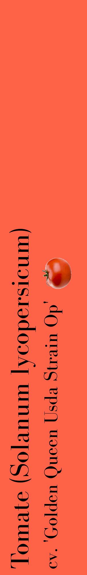 Étiquette de : Solanum lycopersicum cv. 'Golden Queen Usda Strain Op' - format c - style noire25_basiquebod avec comestibilité simplifiée