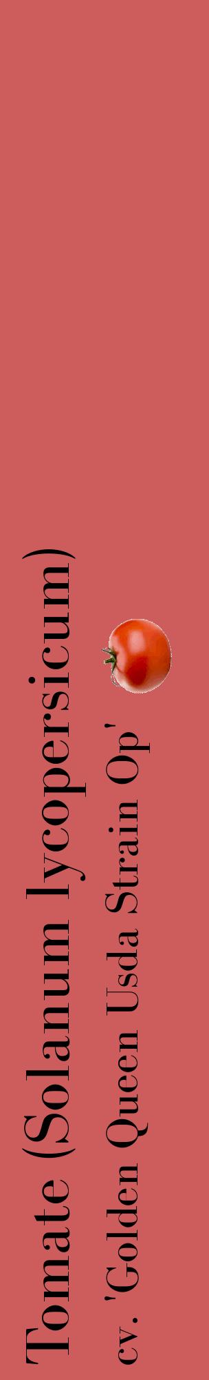 Étiquette de : Solanum lycopersicum cv. 'Golden Queen Usda Strain Op' - format c - style noire35_basiquebod avec comestibilité simplifiée