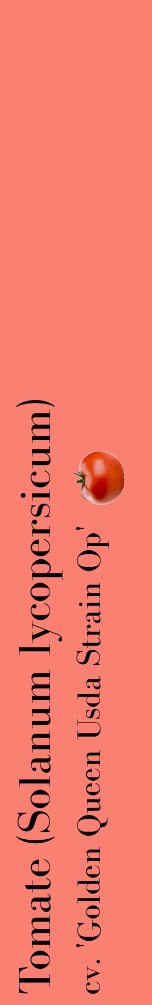 Étiquette de : Solanum lycopersicum cv. 'Golden Queen Usda Strain Op' - format c - style noire38_basiquebod avec comestibilité simplifiée