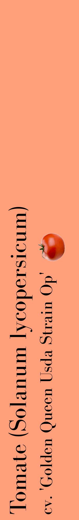 Étiquette de : Solanum lycopersicum cv. 'Golden Queen Usda Strain Op' - format c - style noire39_basiquebod avec comestibilité simplifiée