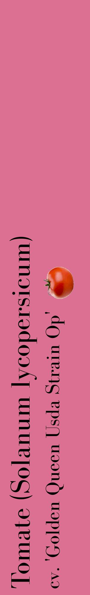 Étiquette de : Solanum lycopersicum cv. 'Golden Queen Usda Strain Op' - format c - style noire44_basiquebod avec comestibilité simplifiée