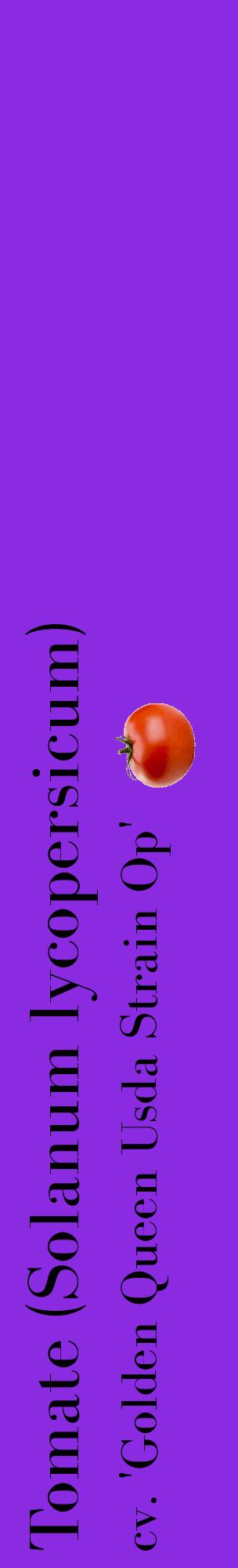 Étiquette de : Solanum lycopersicum cv. 'Golden Queen Usda Strain Op' - format c - style noire49_basiquebod avec comestibilité simplifiée