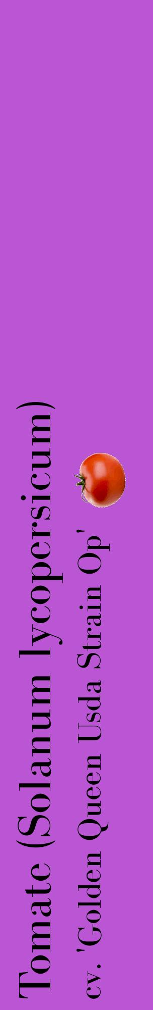 Étiquette de : Solanum lycopersicum cv. 'Golden Queen Usda Strain Op' - format c - style noire50_basiquebod avec comestibilité simplifiée