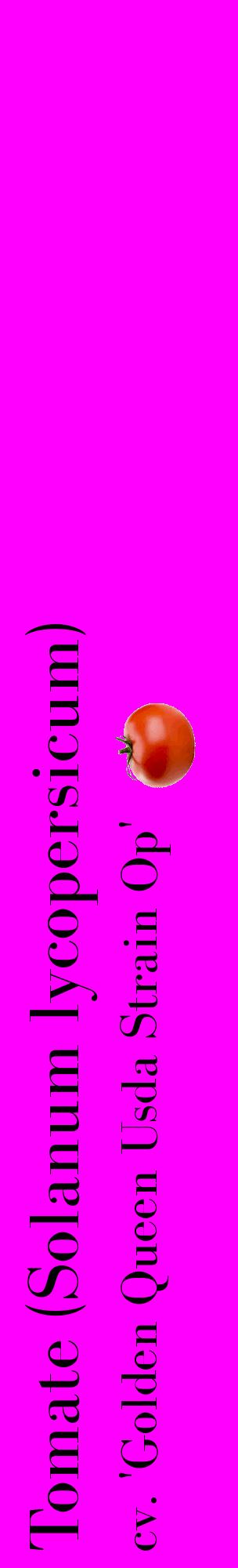 Étiquette de : Solanum lycopersicum cv. 'Golden Queen Usda Strain Op' - format c - style noire51_basiquebod avec comestibilité simplifiée