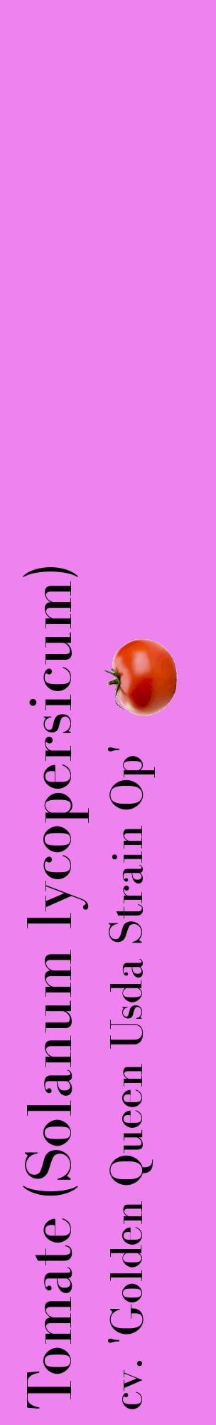 Étiquette de : Solanum lycopersicum cv. 'Golden Queen Usda Strain Op' - format c - style noire53_basiquebod avec comestibilité simplifiée
