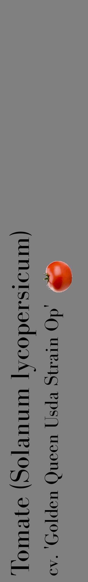 Étiquette de : Solanum lycopersicum cv. 'Golden Queen Usda Strain Op' - format c - style noire57_basiquebod avec comestibilité simplifiée
