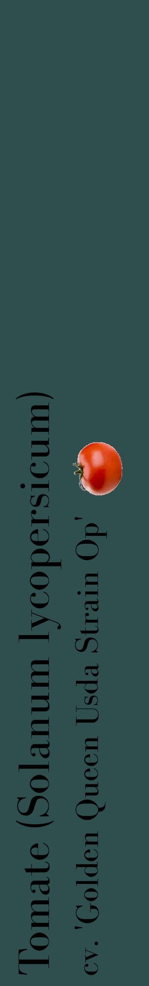 Étiquette de : Solanum lycopersicum cv. 'Golden Queen Usda Strain Op' - format c - style noire58_basiquebod avec comestibilité simplifiée