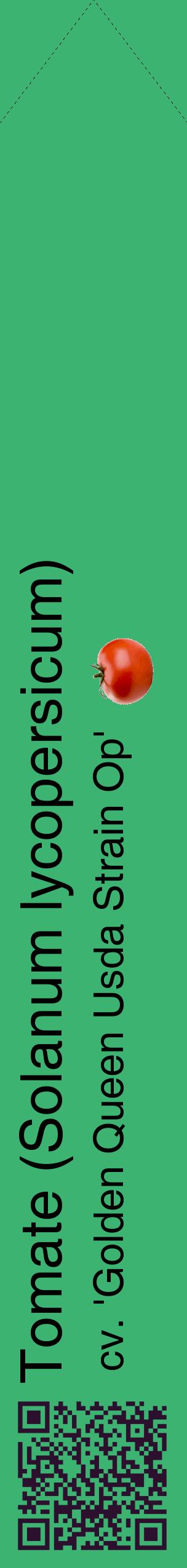 Étiquette de : Solanum lycopersicum cv. 'Golden Queen Usda Strain Op' - format c - style noire12_simplehel avec qrcode et comestibilité simplifiée