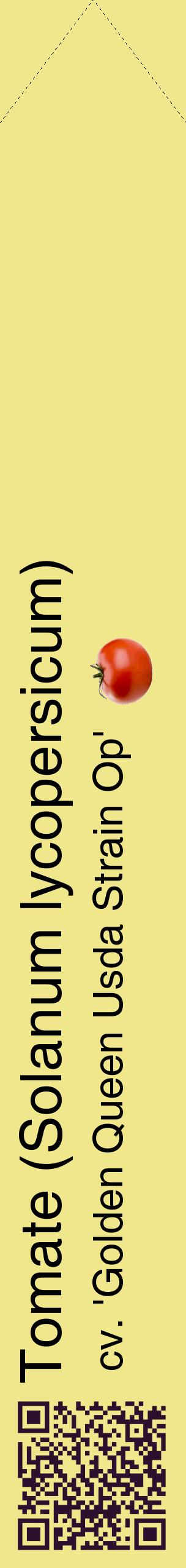 Étiquette de : Solanum lycopersicum cv. 'Golden Queen Usda Strain Op' - format c - style noire20_simplehel avec qrcode et comestibilité simplifiée