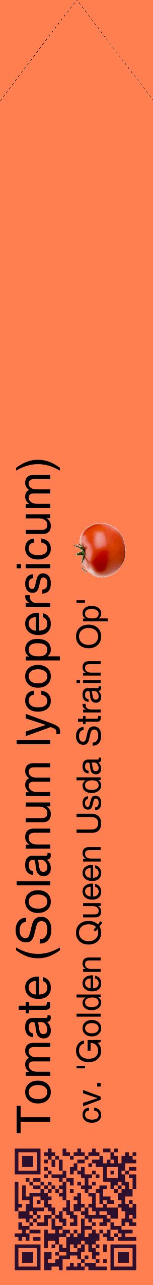 Étiquette de : Solanum lycopersicum cv. 'Golden Queen Usda Strain Op' - format c - style noire24_simplehel avec qrcode et comestibilité simplifiée