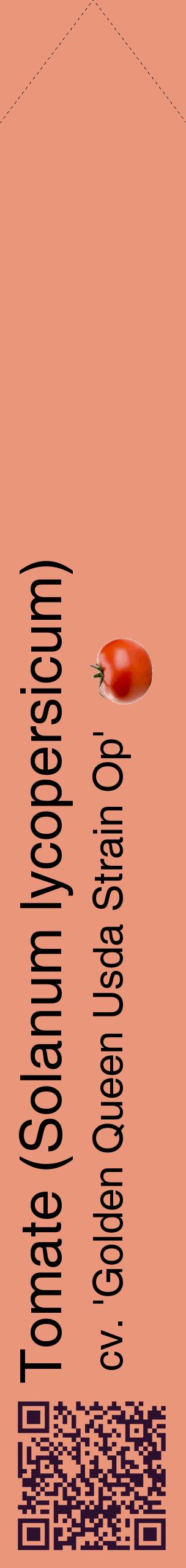 Étiquette de : Solanum lycopersicum cv. 'Golden Queen Usda Strain Op' - format c - style noire37_simplehel avec qrcode et comestibilité simplifiée