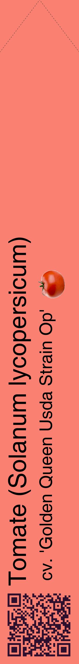 Étiquette de : Solanum lycopersicum cv. 'Golden Queen Usda Strain Op' - format c - style noire38_simplehel avec qrcode et comestibilité simplifiée