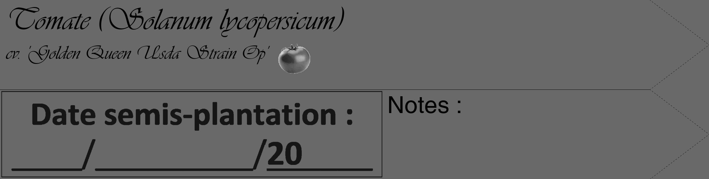 Étiquette de : Solanum lycopersicum cv. 'Golden Queen Usda Strain Op' - format c - style noire11_simple_simpleviv avec comestibilité simplifiée