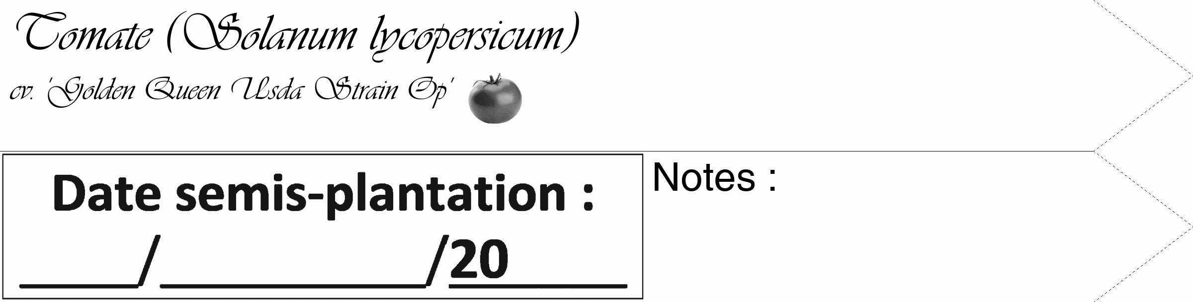 Étiquette de : Solanum lycopersicum cv. 'Golden Queen Usda Strain Op' - format c - style noire19_simple_simpleviv avec comestibilité simplifiée