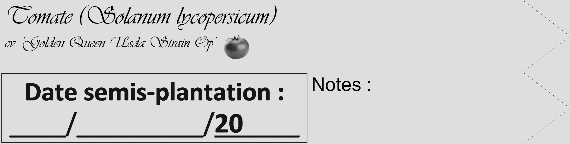 Étiquette de : Solanum lycopersicum cv. 'Golden Queen Usda Strain Op' - format c - style noire20_simple_simpleviv avec comestibilité simplifiée