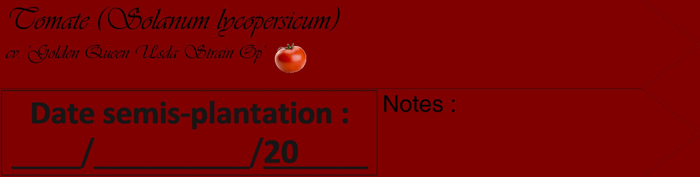 Étiquette de : Solanum lycopersicum cv. 'Golden Queen Usda Strain Op' - format c - style noire29_simple_simpleviv avec comestibilité simplifiée
