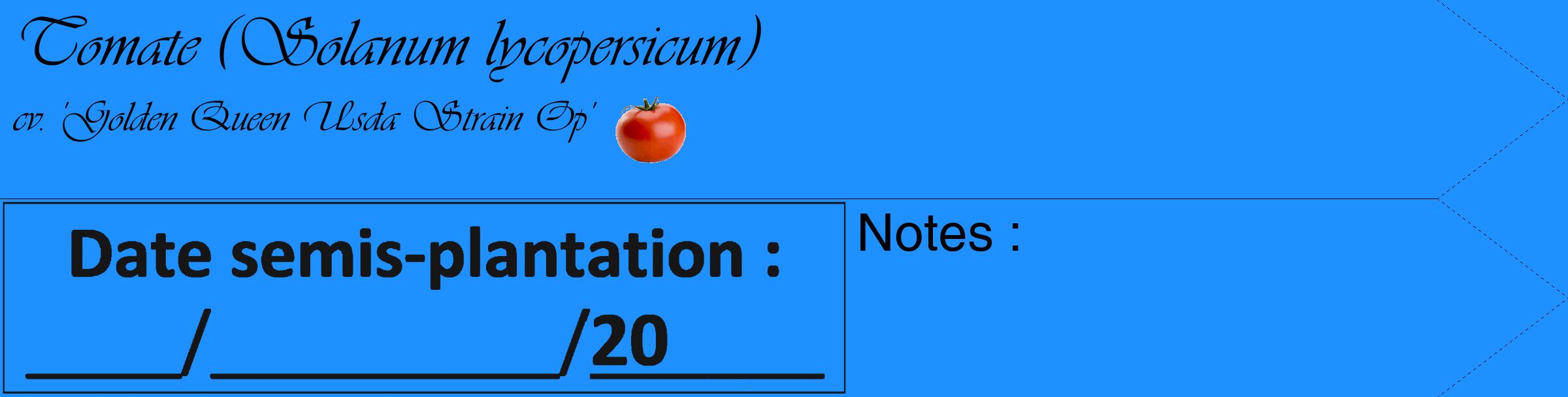 Étiquette de : Solanum lycopersicum cv. 'Golden Queen Usda Strain Op' - format c - style noire3_simple_simpleviv avec comestibilité simplifiée