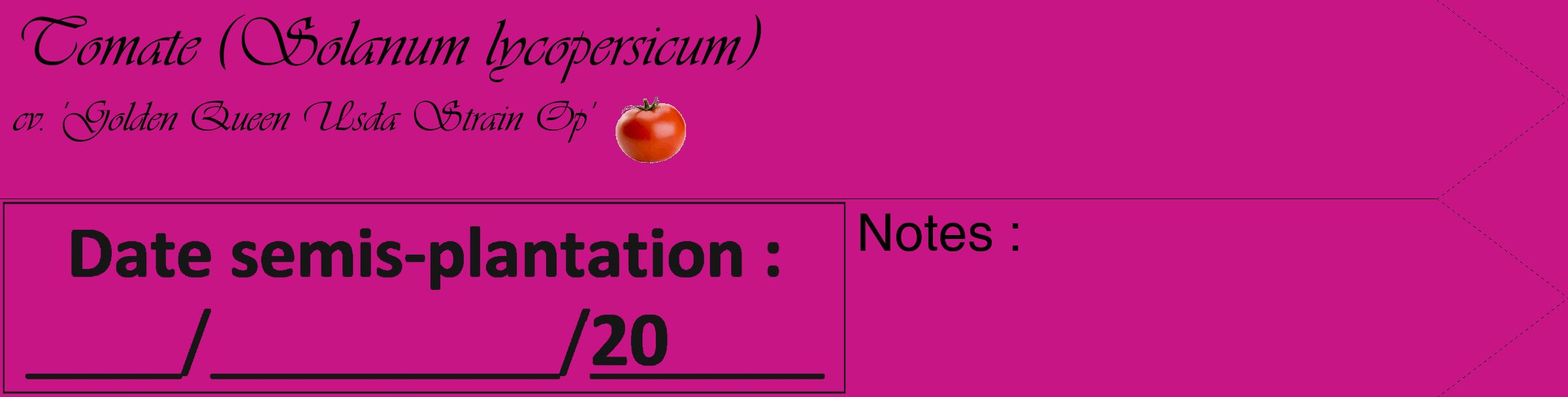 Étiquette de : Solanum lycopersicum cv. 'Golden Queen Usda Strain Op' - format c - style noire45_simple_simpleviv avec comestibilité simplifiée