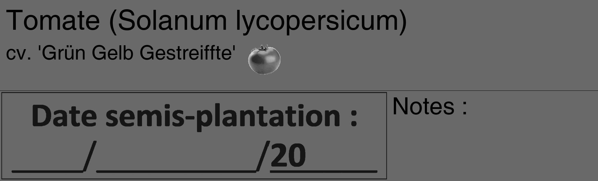 Étiquette de : Solanum lycopersicum cv. 'Grün Gelb Gestreiffte' - format c - style noire11_basique_basiquehel avec comestibilité simplifiée