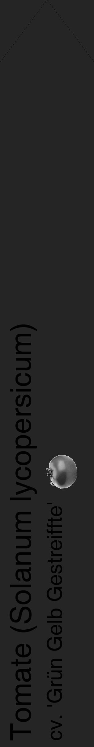 Étiquette de : Solanum lycopersicum cv. 'Grün Gelb Gestreiffte' - format c - style noire47_simple_simplehel avec comestibilité simplifiée - position verticale