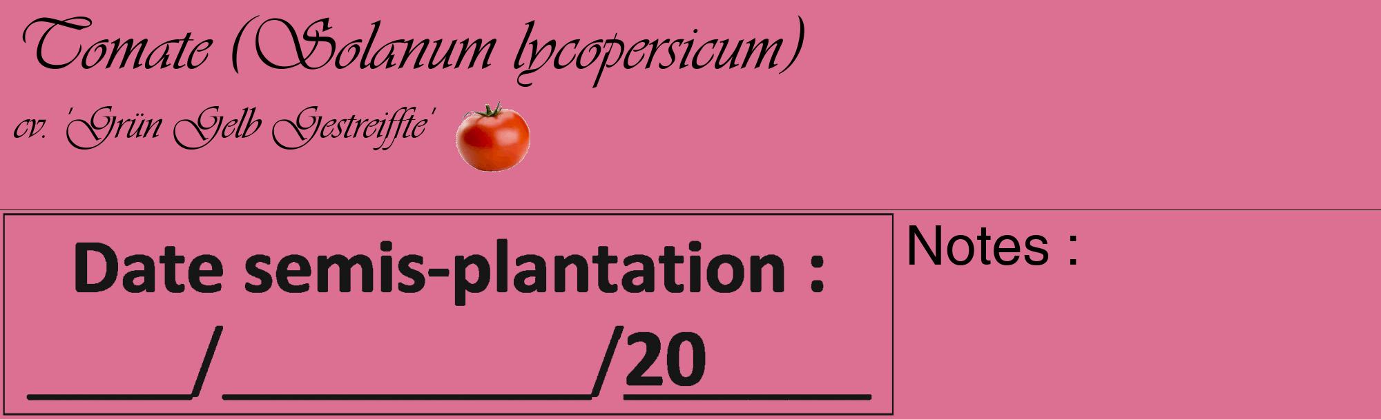 Étiquette de : Solanum lycopersicum cv. 'Grün Gelb Gestreiffte' - format c - style noire44_basique_basiqueviv avec comestibilité simplifiée