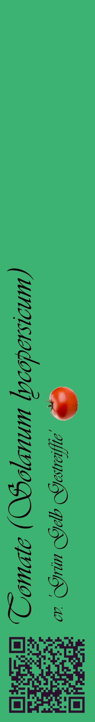 Étiquette de : Solanum lycopersicum cv. 'Grün Gelb Gestreiffte' - format c - style noire12_basiqueviv avec qrcode et comestibilité simplifiée