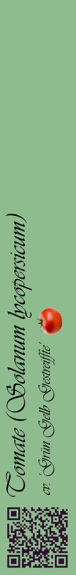 Étiquette de : Solanum lycopersicum cv. 'Grün Gelb Gestreiffte' - format c - style noire13_basiqueviv avec qrcode et comestibilité simplifiée