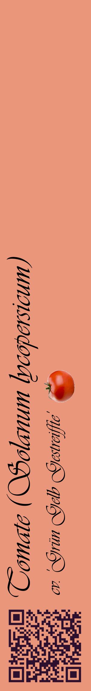 Étiquette de : Solanum lycopersicum cv. 'Grün Gelb Gestreiffte' - format c - style noire37_basiqueviv avec qrcode et comestibilité simplifiée