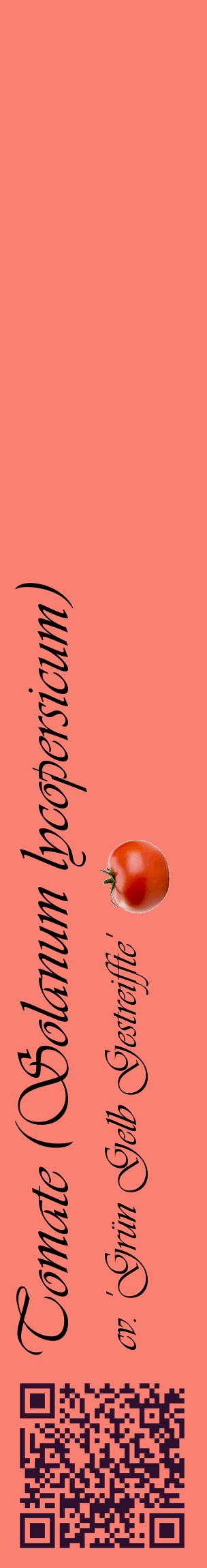 Étiquette de : Solanum lycopersicum cv. 'Grün Gelb Gestreiffte' - format c - style noire38_basiqueviv avec qrcode et comestibilité simplifiée