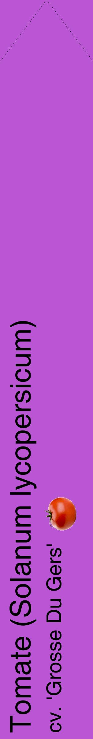 Étiquette de : Solanum lycopersicum cv. 'Grosse Du Gers' - format c - style noire50_simplehel avec comestibilité simplifiée