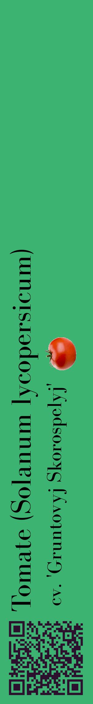 Étiquette de : Solanum lycopersicum cv. 'Gruntovyj Skorospelyj' - format c - style noire12_basiquebod avec qrcode et comestibilité simplifiée