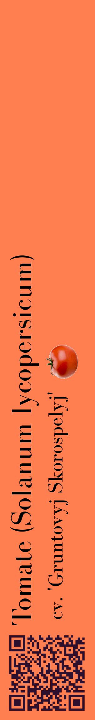 Étiquette de : Solanum lycopersicum cv. 'Gruntovyj Skorospelyj' - format c - style noire24_basiquebod avec qrcode et comestibilité simplifiée