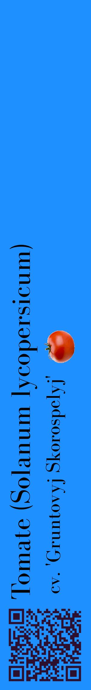 Étiquette de : Solanum lycopersicum cv. 'Gruntovyj Skorospelyj' - format c - style noire3_basiquebod avec qrcode et comestibilité simplifiée