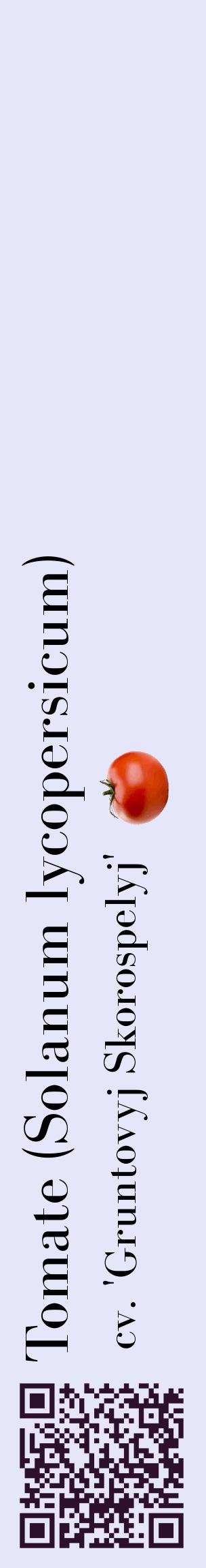 Étiquette de : Solanum lycopersicum cv. 'Gruntovyj Skorospelyj' - format c - style noire55_basiquebod avec qrcode et comestibilité simplifiée