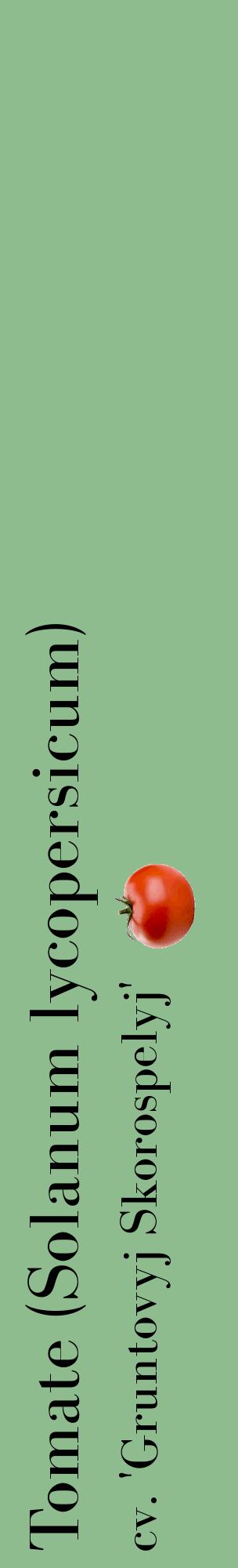 Étiquette de : Solanum lycopersicum cv. 'Gruntovyj Skorospelyj' - format c - style noire13_basiquebod avec comestibilité simplifiée