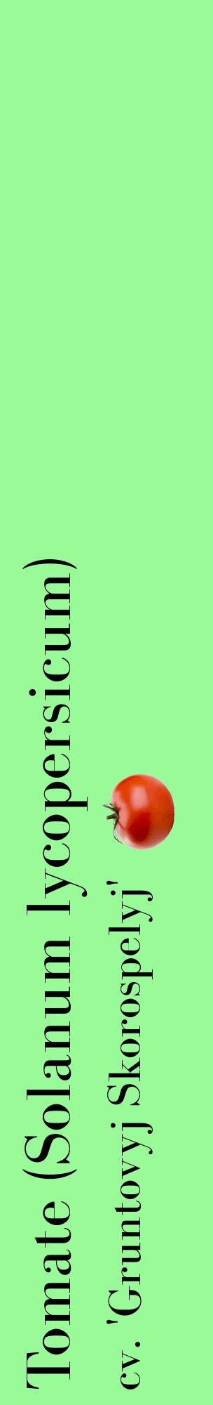 Étiquette de : Solanum lycopersicum cv. 'Gruntovyj Skorospelyj' - format c - style noire14_basiquebod avec comestibilité simplifiée