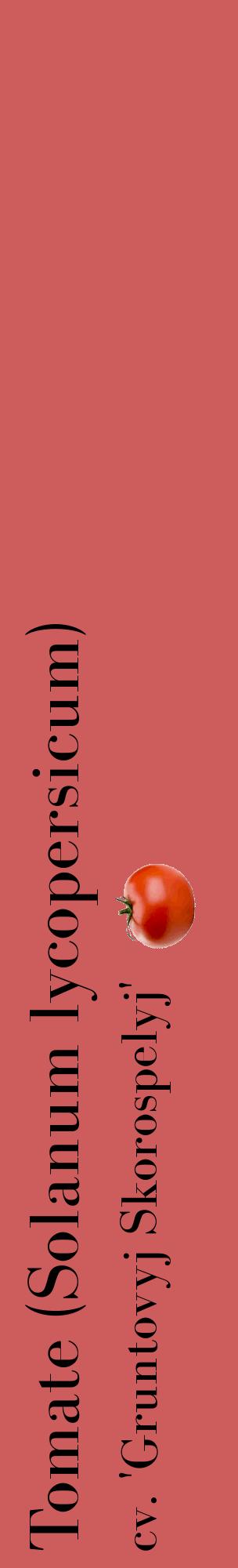 Étiquette de : Solanum lycopersicum cv. 'Gruntovyj Skorospelyj' - format c - style noire35_basiquebod avec comestibilité simplifiée
