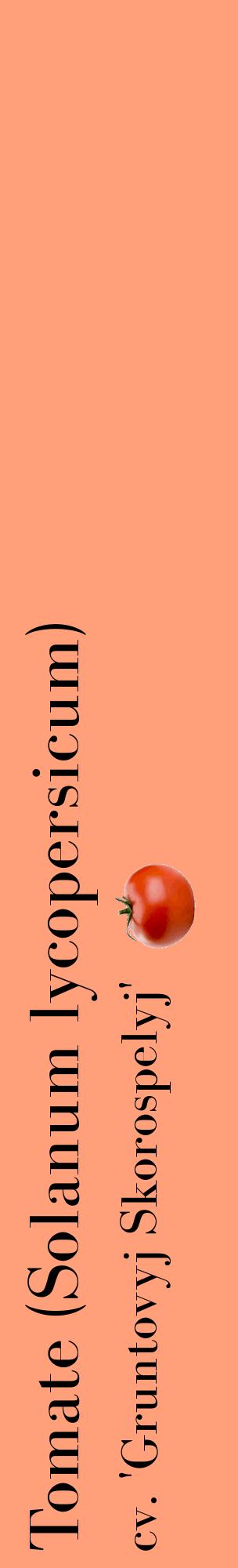 Étiquette de : Solanum lycopersicum cv. 'Gruntovyj Skorospelyj' - format c - style noire39_basiquebod avec comestibilité simplifiée