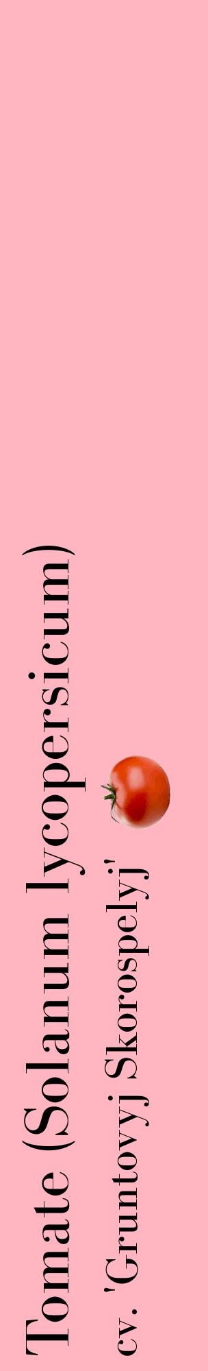 Étiquette de : Solanum lycopersicum cv. 'Gruntovyj Skorospelyj' - format c - style noire41_basiquebod avec comestibilité simplifiée