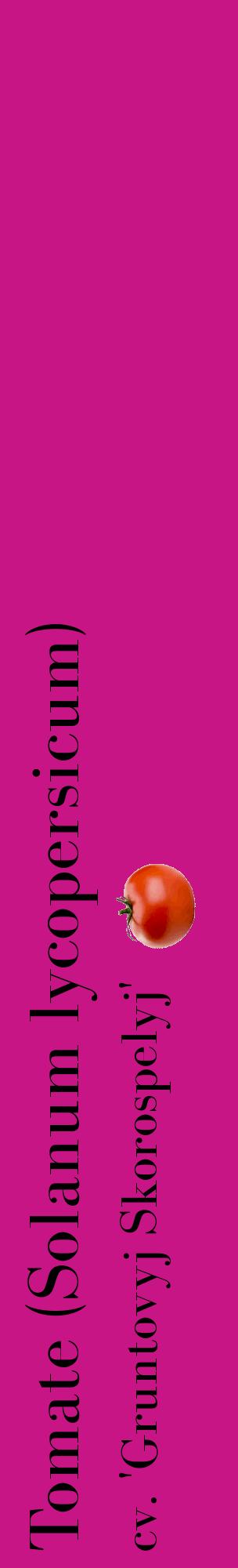 Étiquette de : Solanum lycopersicum cv. 'Gruntovyj Skorospelyj' - format c - style noire45_basiquebod avec comestibilité simplifiée