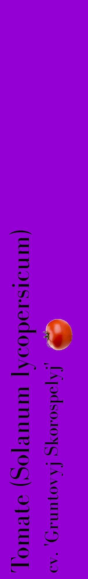 Étiquette de : Solanum lycopersicum cv. 'Gruntovyj Skorospelyj' - format c - style noire48_basiquebod avec comestibilité simplifiée