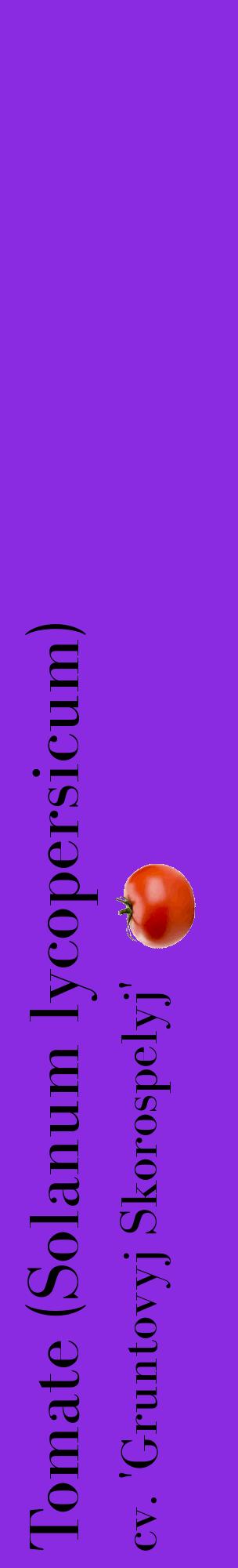 Étiquette de : Solanum lycopersicum cv. 'Gruntovyj Skorospelyj' - format c - style noire49_basiquebod avec comestibilité simplifiée