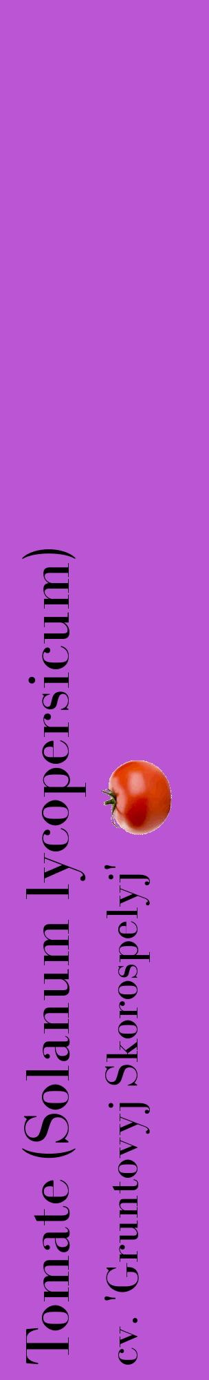 Étiquette de : Solanum lycopersicum cv. 'Gruntovyj Skorospelyj' - format c - style noire50_basiquebod avec comestibilité simplifiée