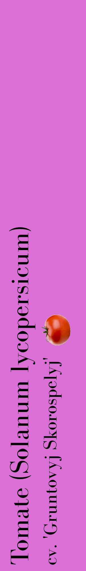 Étiquette de : Solanum lycopersicum cv. 'Gruntovyj Skorospelyj' - format c - style noire52_basiquebod avec comestibilité simplifiée