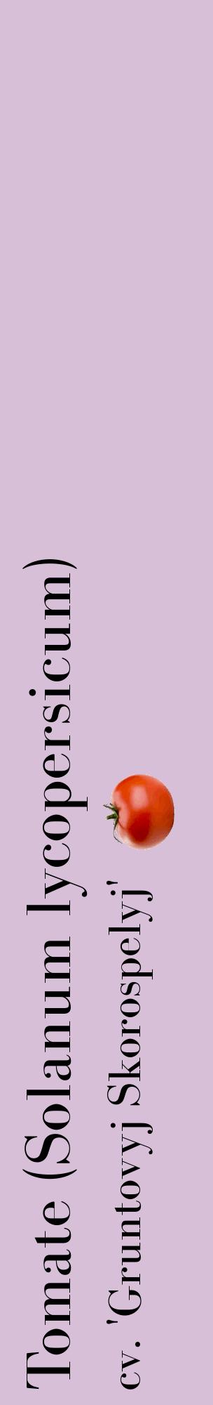 Étiquette de : Solanum lycopersicum cv. 'Gruntovyj Skorospelyj' - format c - style noire54_basiquebod avec comestibilité simplifiée