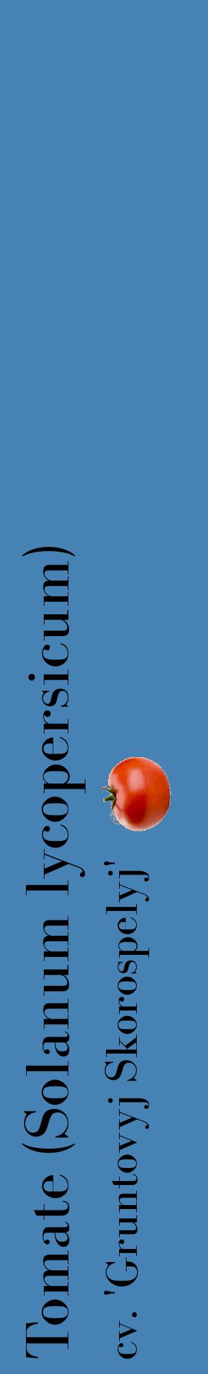 Étiquette de : Solanum lycopersicum cv. 'Gruntovyj Skorospelyj' - format c - style noire5_basiquebod avec comestibilité simplifiée