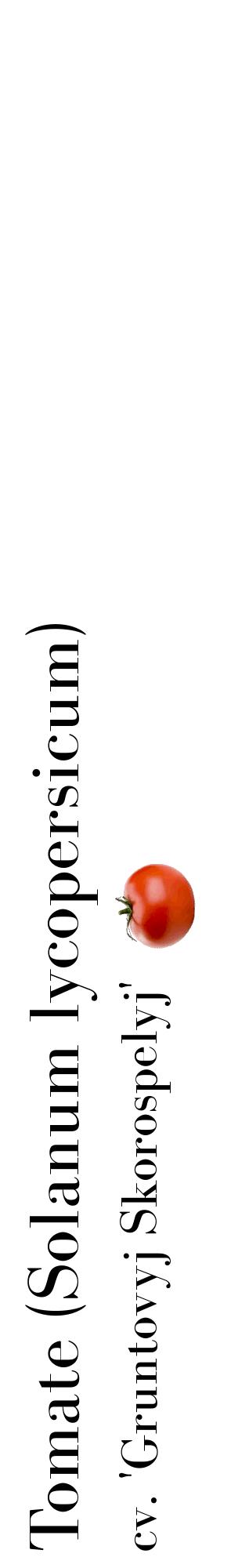 Étiquette de : Solanum lycopersicum cv. 'Gruntovyj Skorospelyj' - format c - style noire60_basiquebod avec comestibilité simplifiée